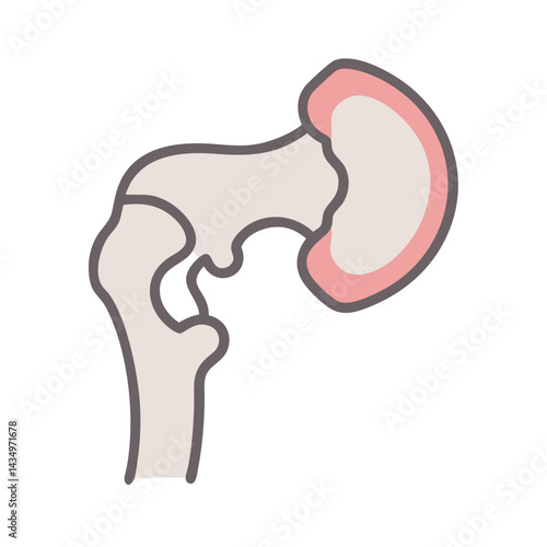 Human femur flat vector illustration on black background