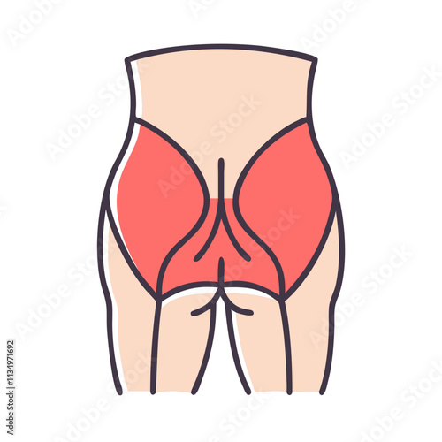 Gluteus Maximus anatomy illustration for medical or fitness purposes