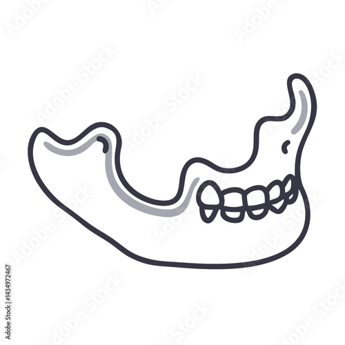 Illustration of human mandible skeletal structure on black background