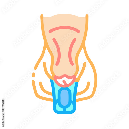 Stylized graphic of human urinary tract anatomy for medical use