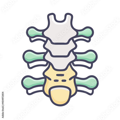 Isolated human spine anatomy illustration on black background vector
