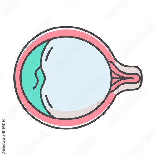 Human eye cross-section diagram in colorful flat illustration