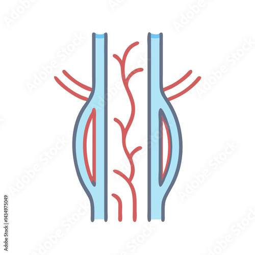 Stylized illustration of blood vessels and capillaries on black
