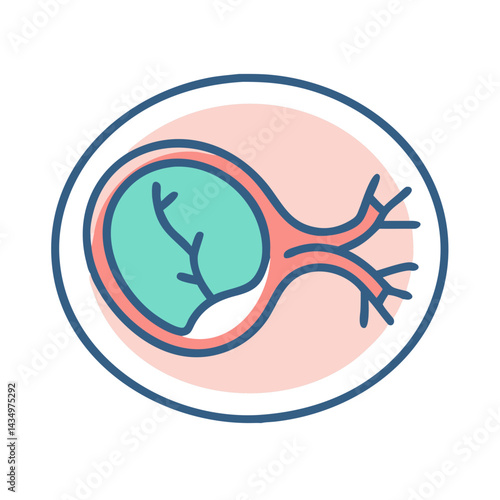 Stylized Embryo Development Icon in Flat Vector Illustration Style