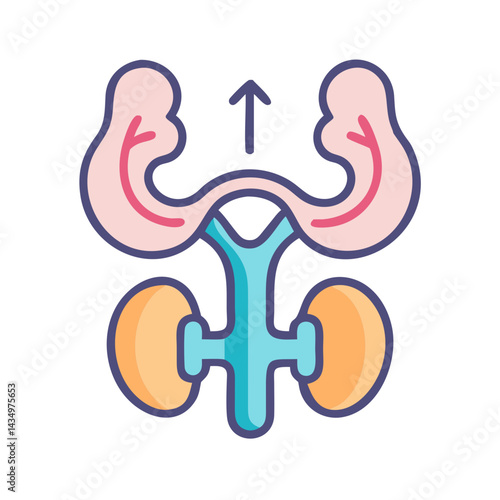 Stylized human urinary system diagram showcasing kidney and bladder function