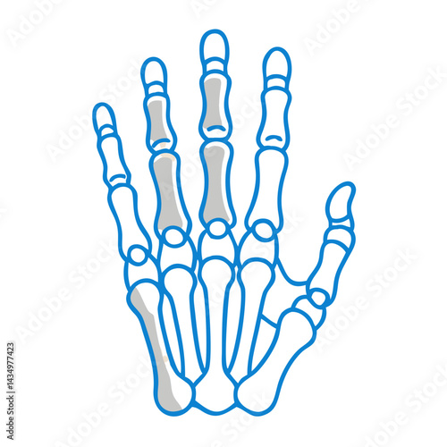 Digital illustration of a hand skeleton on a black background