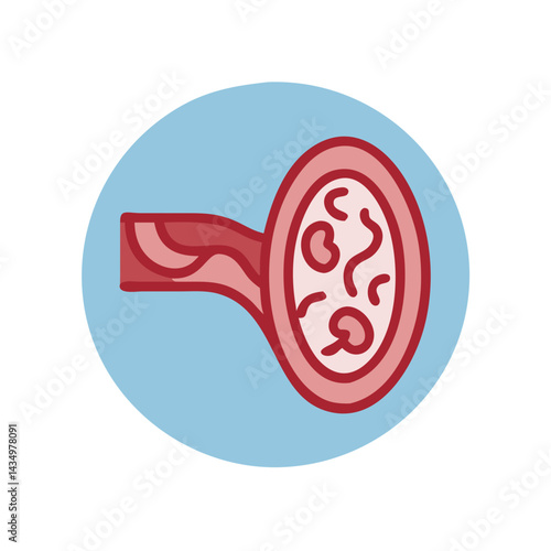 Vein artery illustration showcasing blood flow within a blue circle