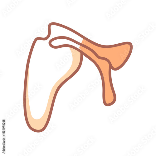 Minimalist graphic of shoulder bone on a black background