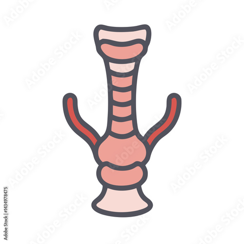 Larynx and Trachea Anatomy Medical Illustration on Black Background