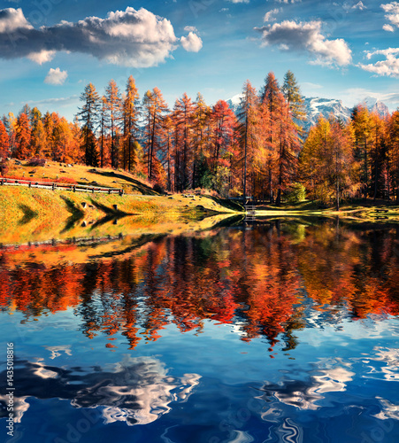 Fantastic colors view of Scin lake with yellow pine trees.