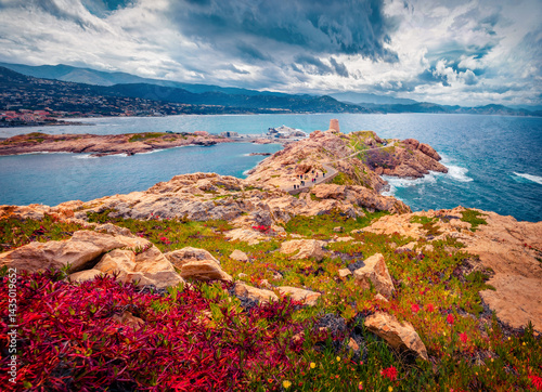 Dramatic summer view of blooming red flowers on de la Pietra cape with Genoise de la Pietra a L'ile-Rousse tower on background.Wonderful afternoon scene of Corsica island, France, Europe.
