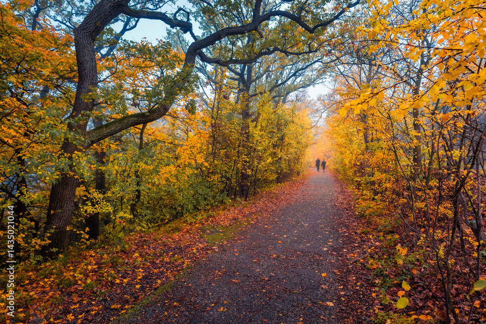 Two tourists on the treck in autumn forest. Colorful morning scene of Austrian Alps. Fantastic autumn view of foliage woodland. Beauty of nature concept background.