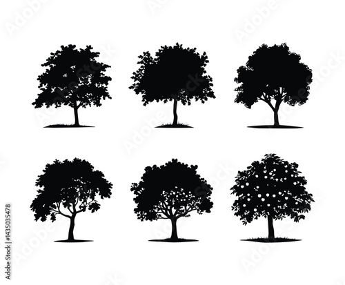 Apple Tree Silhouette Vector Set on White Background