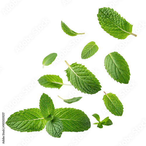 flying mint leaves png mint leaves in air png flying herb leaves png refreshing mint motion png herbal leaves png transparent background image