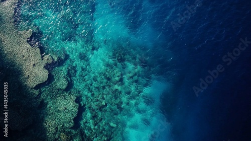 Wallpaper Mural Underwater exploration of coral reefs tropical ocean aerial photography vibrant marine life bird's eye view nature conservation Torontodigital.ca