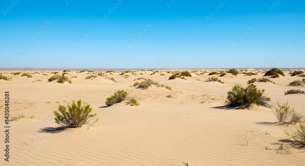 Vast Desert Landscape Under a Clear Blue Sky Arid Environment Photography Vast Desert Landscape Under a Clear Blue Sky Arid Environment Photography