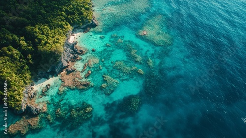 Coral reef exploration tropical beach aerial photography vibrant ocean bird's eye view marine conservation