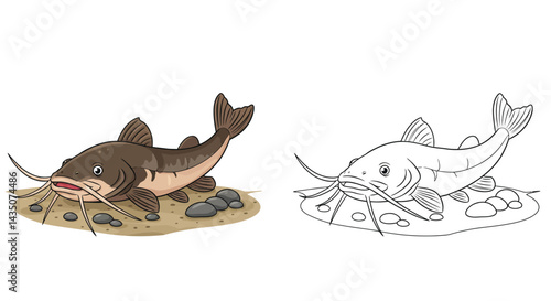 Catfish Cartoon: A whimsical cartoon image of a catfish in a color and a black and white version for coloring pages. The catfish is pictured with a cheerful expression.