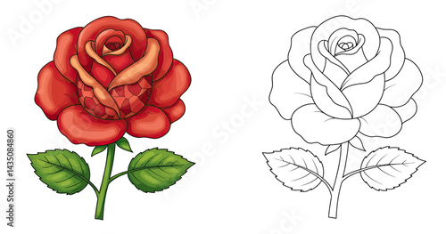 Rose Coloring Page:  A charmingly designed rose coloring page, with two roses.  The left one is fully colored in red, and the one on the right is ready for artistic expression.