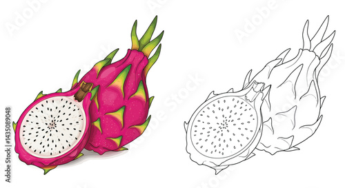 Dragon Fruit: A vibrant and artistic depiction of dragon fruit, both in its fully colored form and as a detailed line drawing, highlighting its unique texture. 