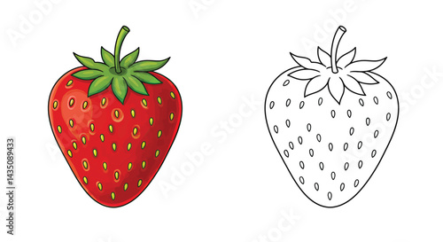 Vibrant Strawberry Duo: A colorful, juicy strawberry paired with a line art illustration, representing the essence of fresh, natural sweetness and creativity.