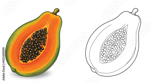 Papaya Fruit Illustration: A vibrant and colorful papaya fruit illustration featuring a detailed, open papaya with seeds, displayed beside its monochrome counterpart.