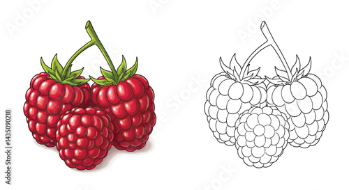 Fresh Raspberry Trio: A vibrant cluster of ripe raspberries, capturing the essence of summer's sweetness.