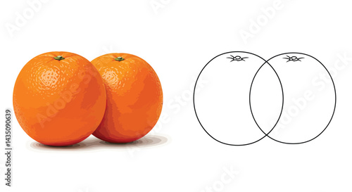 Orange Juxtaposition: Vivid image of two vibrant oranges beside a Venn diagram, presenting the fruit's essence and abstract concepts, exploring visual metaphors and the potential for comparisons.