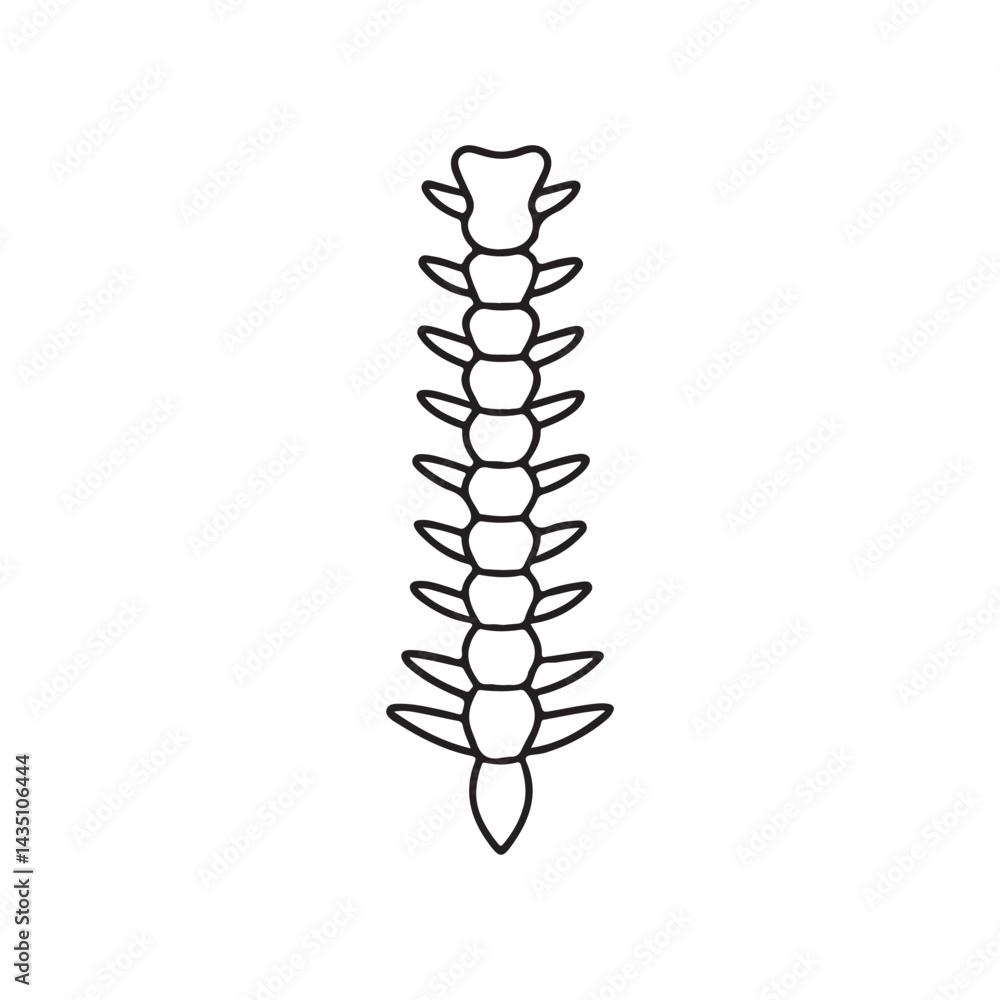 spine icon spine icon