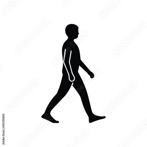walking biomechanics explained silhouette