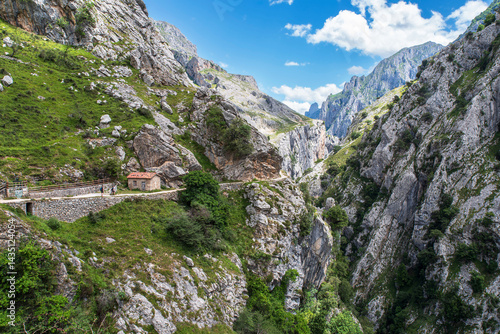 Cuadro en lienzo Mountain landscape in the Cares gorge in Spain, with its rocky cliffs and vegeta