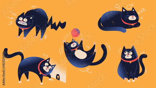 Curious Cute Chubby Black Cat Daily Life