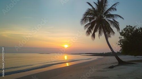 Sunset on the Beach with a Palm Tree