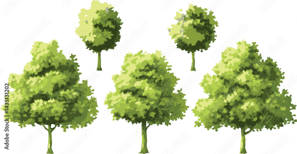 Fototapeta premium Lush Green Trees Vector Collection