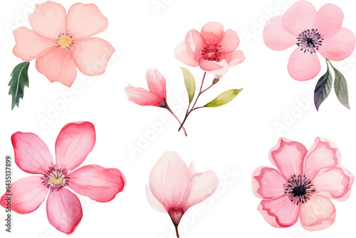 Wallpaper Mural set of pink flowers Torontodigital.ca