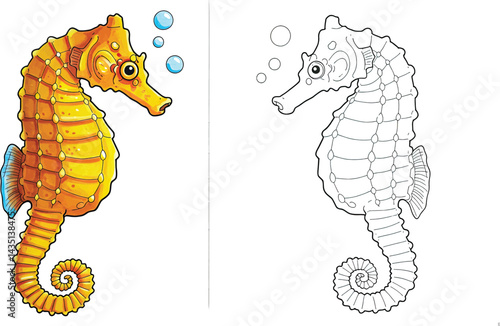 Seahorse Coloring Page: A charming and whimsical seahorse illustration, complete with a detailed coloring page, invites young artists to bring this fascinating creature to life with vibrant colors.
