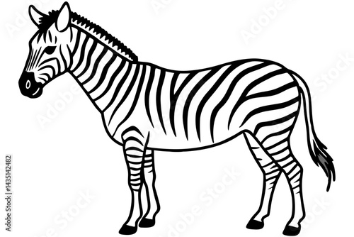 Wild Zebra Ink Lines