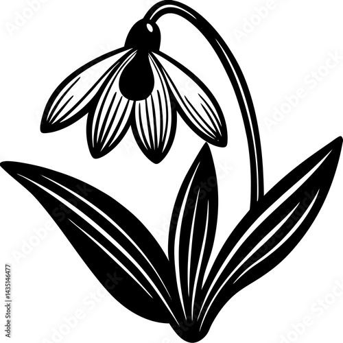 lily of the valley