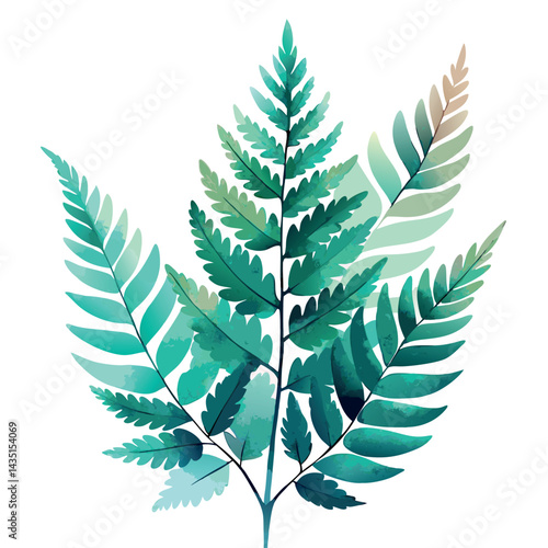 Watercolor-fern-leaves-isolated-on-white-background