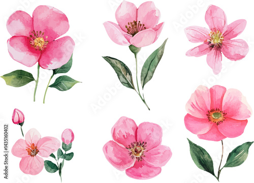 set of pink flowers