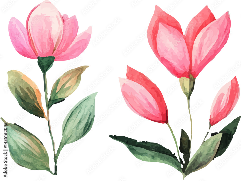 Fototapeta premium set of pink tulips