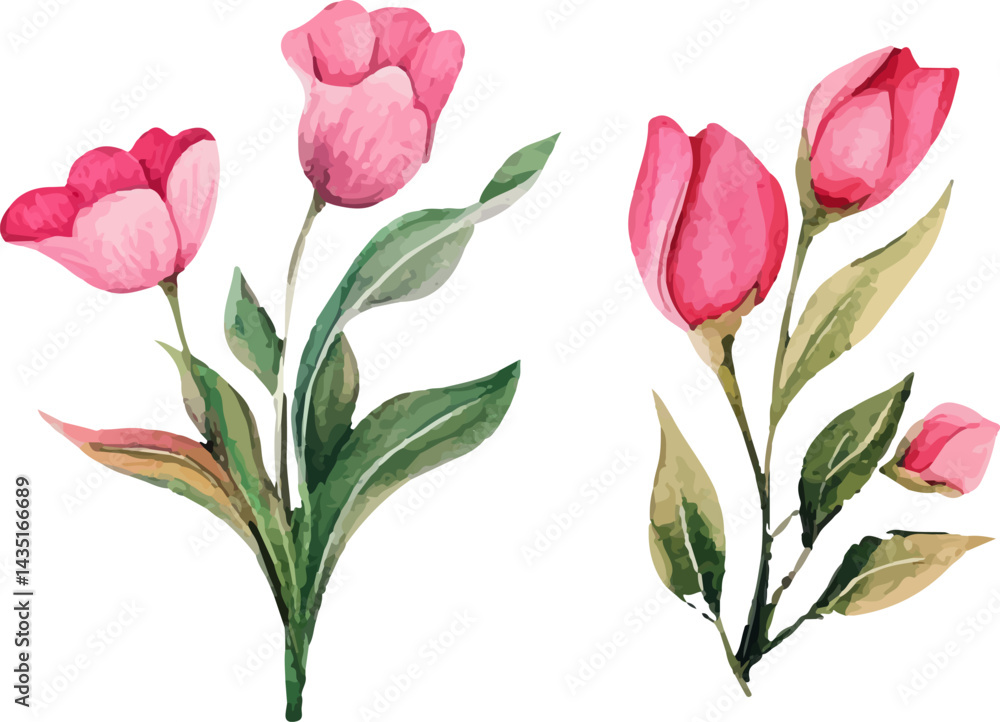 bouquet of tulips vector illustration bouquet of tulips vector illustration