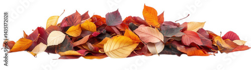 a vibrant pile of autumn leaves in various shades of red. orange. and yellow. showcasing the beauty of fall foliage against a clean white background the essence of the season and can be used for theme