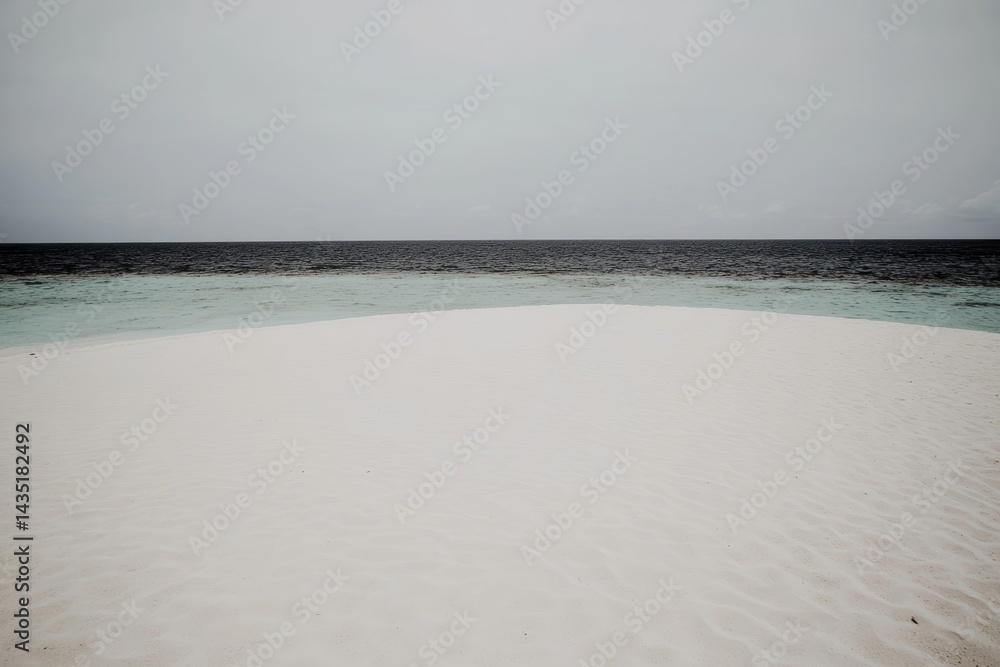Obraz premium 灰色の空の下、穏やかな波が打ち寄せる白い砂浜が広がるビーチ。