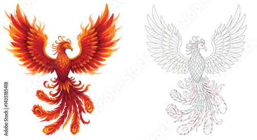 Phoenix's Transformation: An artistic depiction of the mythological phoenix showcases the fiery bird in a dynamic, powerful stance, accompanied by a line art rendering.