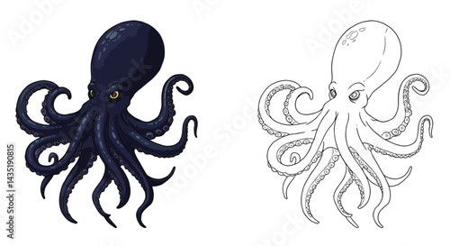 Octopus illustration: A detailed illustration shows an octopus in full view, showcasing its unique features and symmetrical design in both color and line art, emphasizing its fascinating form.
