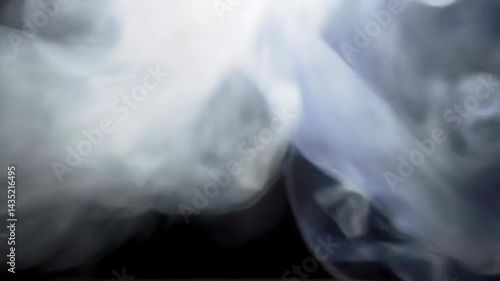 Wallpaper Mural Abstract white smoke swirling on black background. Dynamic fluid vapor movement. Atmospheric overlay or background visual effect. Torontodigital.ca