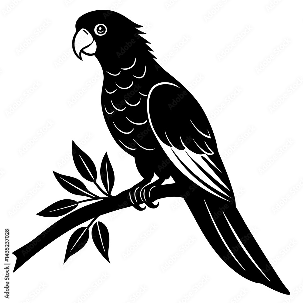 australian king parrot sitting australian king parrot sitting