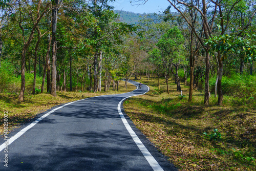Photography A beautiful road winding its way through a forest (photographed in BR Hills Sanc