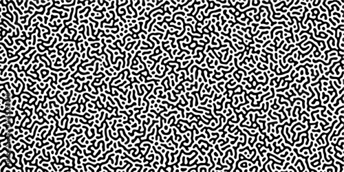 Abstract Reaction-diffusion Turing pattern natural texture gray gradient color scheme. Linear design with biological algorithm psychedelic background. Reaction-diffusion or truing patter